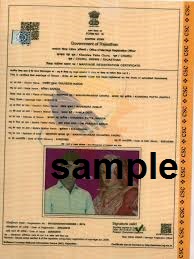 [New] Rajasthan Marriage Certificate Form