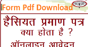 Rajasthan Haisiyat Praman Patra Form PDF Download | हैसियत प्रमाण पत्र आवेदन फॉर्म Download