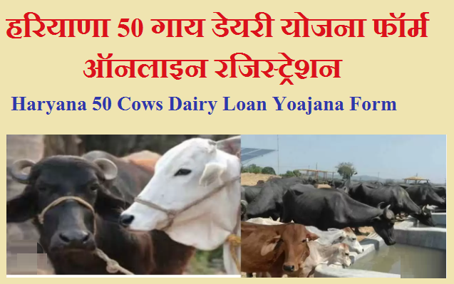 हरियाणा 50 गाय डेयरी योजना फॉर्म ऑनलाइन रजिस्ट्रेशन | Haryana 50 Cows Dairy Yoajana Form 2024